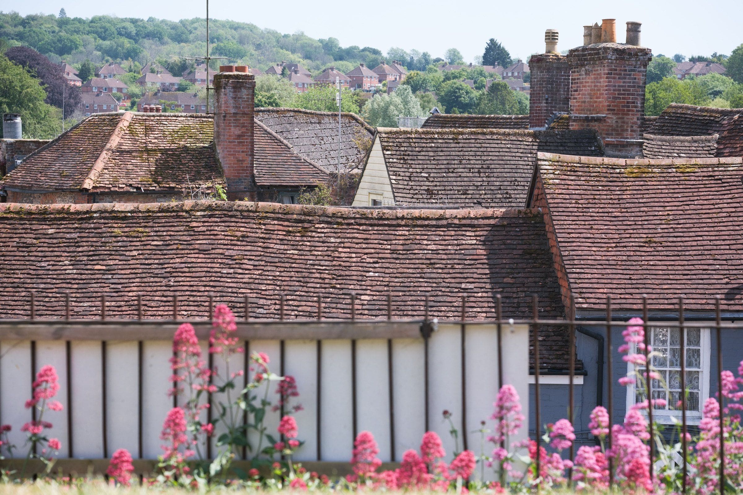 Clay-tiled rooftops and chimneys over a garden wall with red valerian