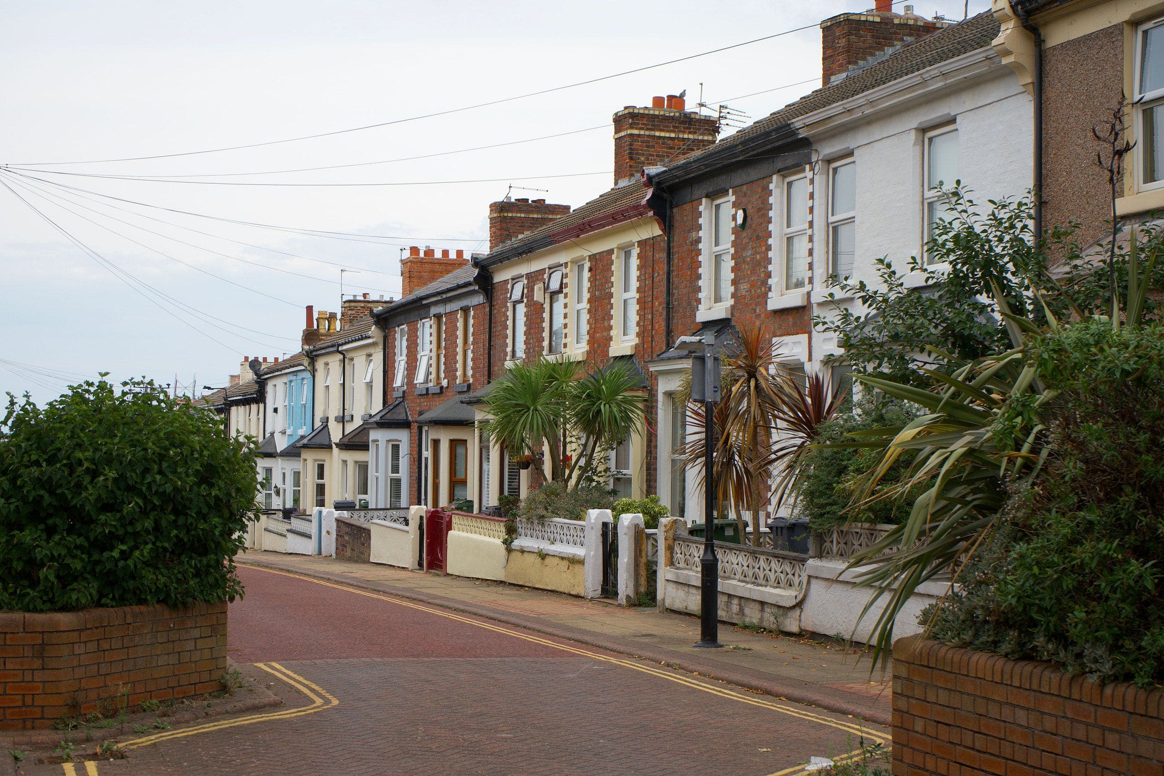 A quiet street of terraced houses with front gardens