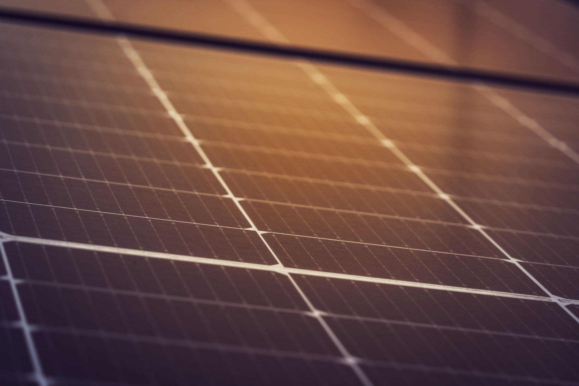 The cell grid of solar panels in warm late light, close up