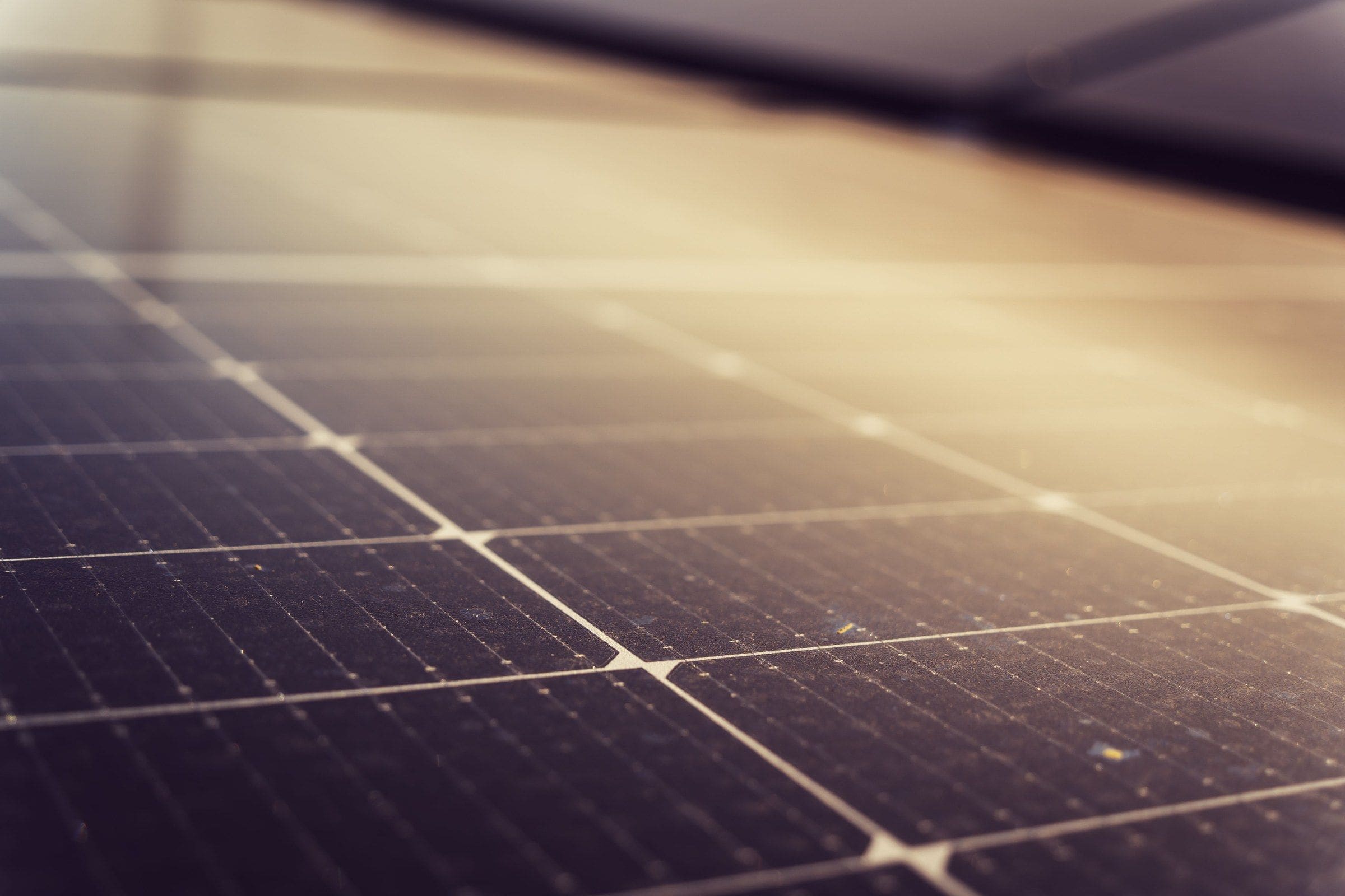 Solar panel cells catching low golden sunlight, close up
